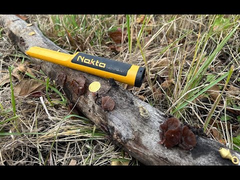 Пинпоинтер Nokta Accupoint | Различает металлы | Цветной дисплей | Bluetooth! Цілевказівник Нокта, Целеуказатель Nokta - фото 2 - id-p2006617594