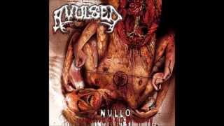Avulsed - Nazino