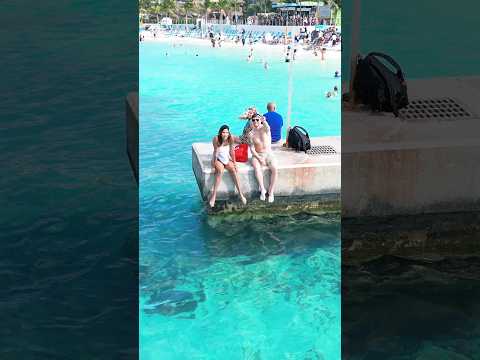 Junkanoo Beach #shorts #bahamas #nassau #travel #beach #caribbean #love #beachwalk #walkingtour