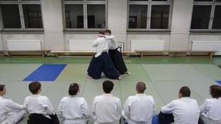 preview picture of video 'Aikido Schule Steyr'