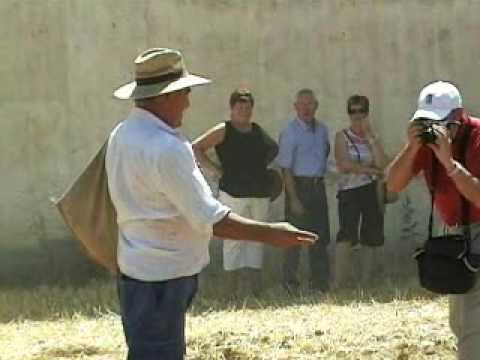 02 La Trilla en Castrillo de Villavega, Palencia