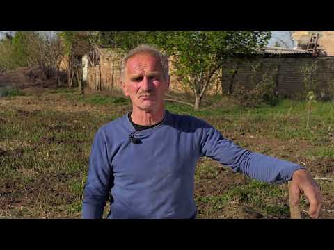 Domaćine kako radiš 18.04.2022. Uzgoj špargle, Banatski Brestovac, Đurđevo