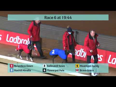 Monmore Greyhounds Races on 8th January 2022