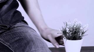 【海蝶新生報到】 FS(Fuying &amp; Sam) intro