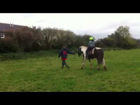 Gethis first lesson on pasha horse