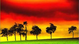 Jack Wilson - Six Street