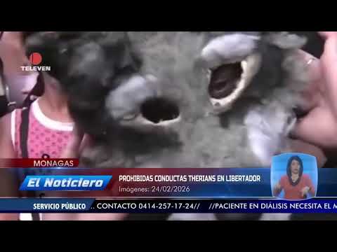 Prohíben prácticas therian en Monagas - El Noticiero emisión meridiana 24/02/26