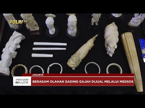 PRESISI UPDATE: DITTIPIDTER BARESKRIM POLRI UNGKAP PERDAGANGAN GADING GAJAH 26/05/25 (18.00)