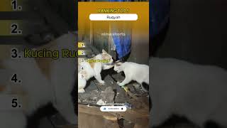 Download lagu RANKING TOP 5 RUQYAH WKWK mp3