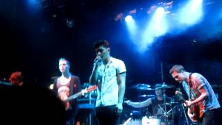 For The Foxes - The Revolution