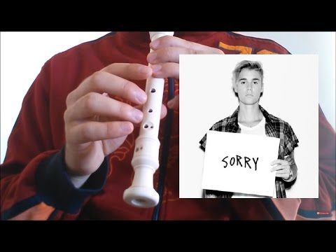 Justin Bieber - Sorry (PURPOSE : The Movement) Recorder Block Flute