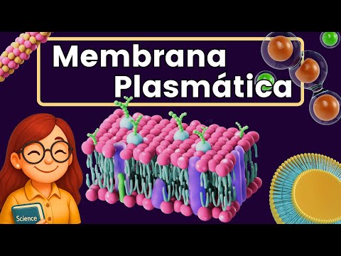 Cell Membrane 🦠