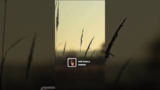 Download lagu Evie Tamala - Kandas #shorts mp3