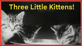 Smol Kittens  - 1938 - A friendly dog and troublesome hen pay a visit.