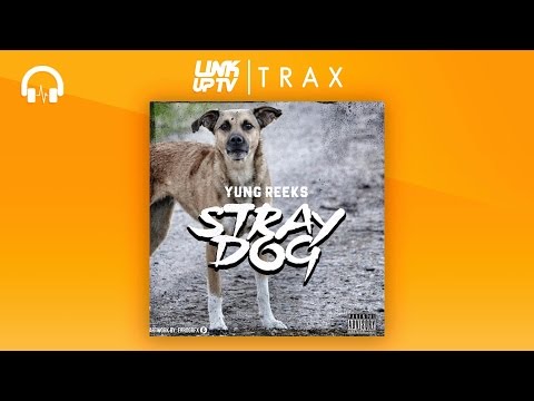 Yung Reeks - Stray Dog | @YungReeks | Link Up TV TRAX