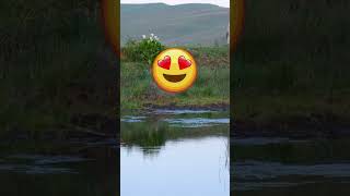 Download lagu How to MAKE A MAN BETTER? Robert Greene KNOWS mp3