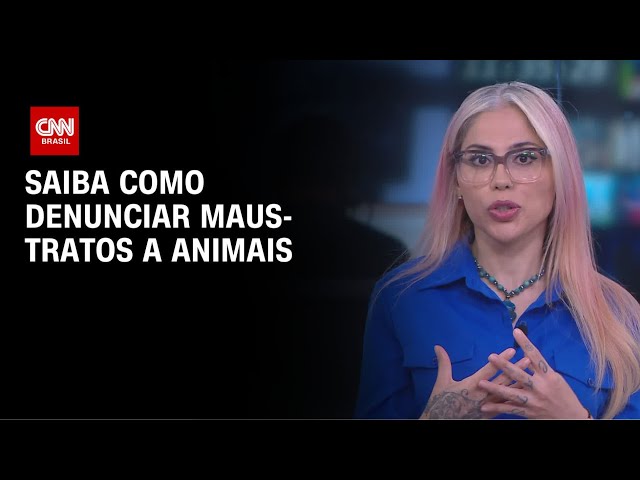 Veterinária explica como denunciar maus-tratos a animais | LIVE CNN