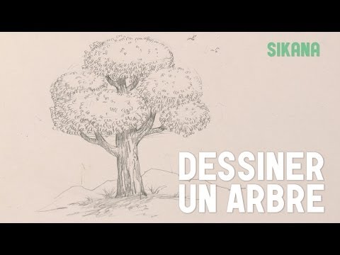 comment colorier un tronc d'arbre