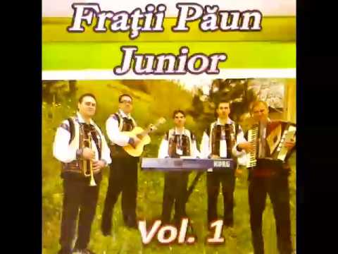 Fratii Paun Junior vol 1
