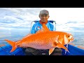 VERY STRONG PULL FOR BIG FISH AT A DEPTH OF 200 METERS