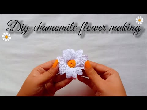 ||Diy paper chamomile flower making🌼||paper flower||