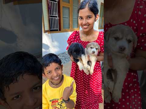 Tom 🍓 Jerry (Rithvi&Kavi)Real End Twist 😂🎈 #shorts