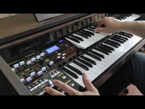 Órgão Digital Acordes Classic. Tabaco ou Marrom. Lançamento