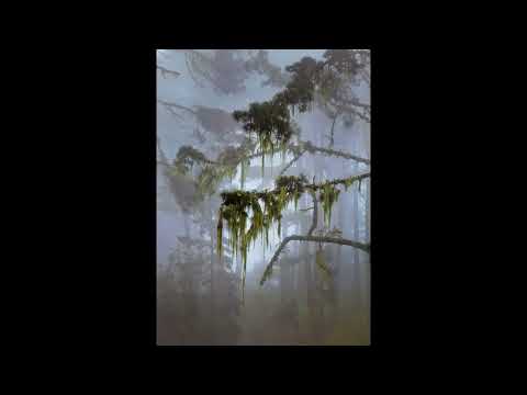 [FREE] irko + realo type beat - "nobu" (p. 6min)