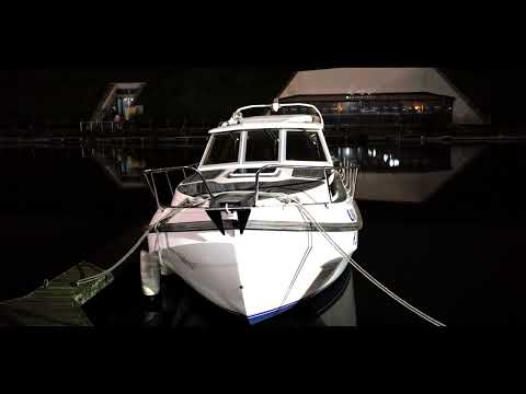 Remigijus Viršila - Vasaros naktis [SadLave Remix 2022]