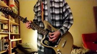 The Weakerthans - The Reasons (guitar cover)