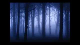 Davy Spillane feat. Maire Brennan - A Place Among The Stones (Celtic Circle)