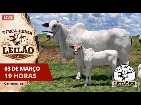 VALE DO BOI LEILOES - INHUMAS GO  - LEILAO VIRTUAL E PRESENCIAL -  03/03/ 2026