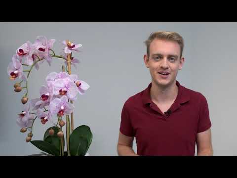 Kosmos Apotheke Ratgeber - Folge 009 - Trockene Augen