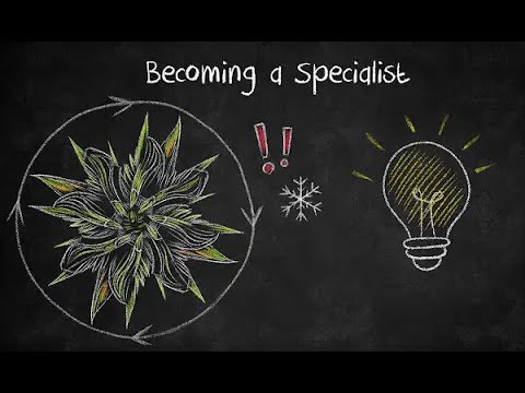 Fundamentals of Cold-Orbit : Becoming a Specialist