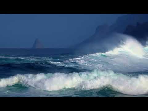 Beaches Drone Nature Sea View #beach #nature #ytvideo #adventure #forest #river