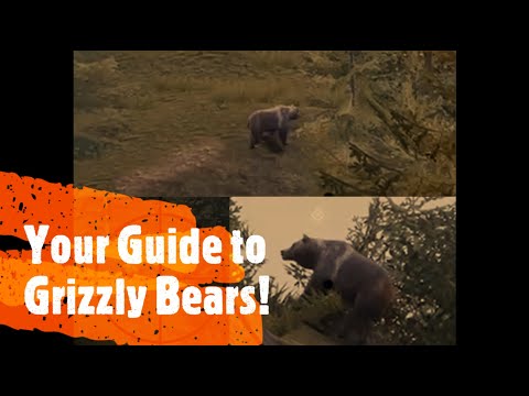 Your Guide To Grizzly Bears! Quick and Simple Hunting Info - Hunting Simulator 2