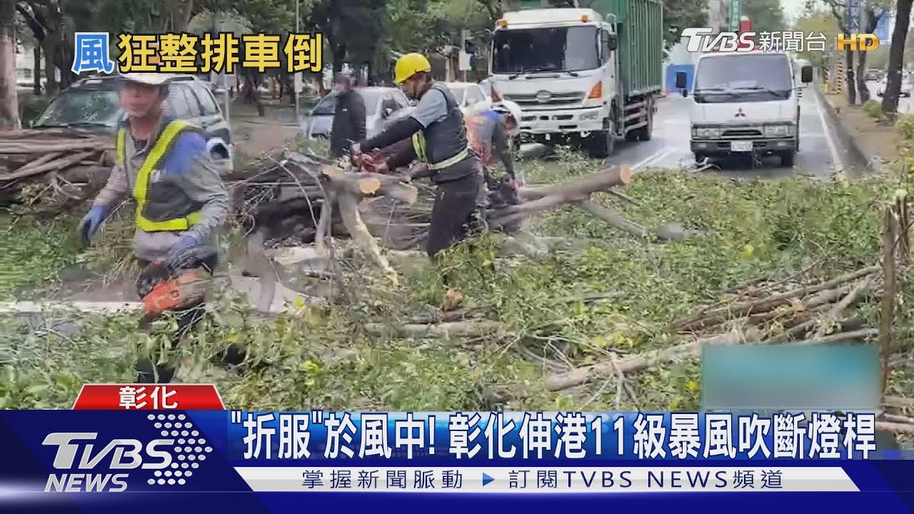 不只冷！狂風吹倒機車　路樹連根斷害車撞上