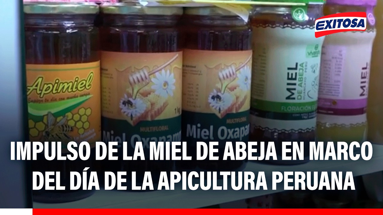 🔴🔵 Midagri y asociaciones de apicultores impulsan producción de miel de abeja