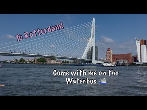 Exploring the Netherlands 🇳🇱 by Waterbus⛴️: Dordrecht - Rotterdam | Full video