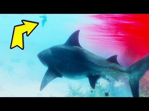 Maneater Gameplay - First Impressions | Maneater Part 1