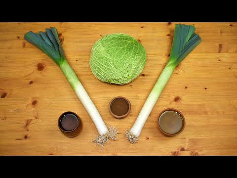 Ancient Roman Cabbage Rolls