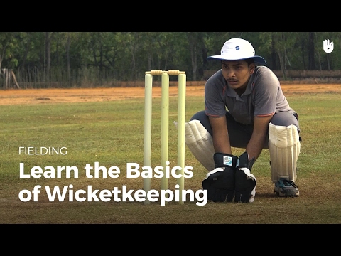 Learn the Basics of Wicketkeeping | Cricket