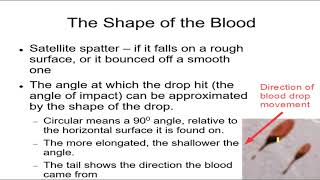 Forensics 4, Blood Spatter Analysis 1 Crime Reconstruction, Blood Shapes, Calculations That Should H
