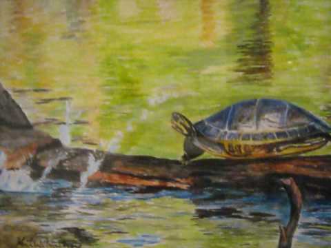 Watercolor paintings of springs of North Central Florida