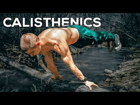 Daniel Hristov | The Art Of Planching (Planche Motivation) Street Workout Calisthenics 2020