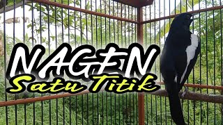 Download lagu PANCING KACER TARUNG NAGEN BONGKAR MATERI CEPAT EMOSI GACOR NGOBRA FULL ISIAN MEWAH mp3 Download lagu PANCING KACER TARUNG NAGEN BONGKAR MATERI CEPAT EMOSI GACOR NGOBRA FULL ISIAN MEWAH mp3