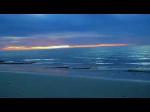 Against The Tide video