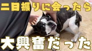 二日振りに愛犬を迎えに行きます🫡