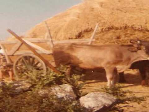 Miss Villar de Ciervos de Somoza
