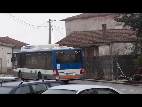 STCP 3214, 3232, 3320 - 805